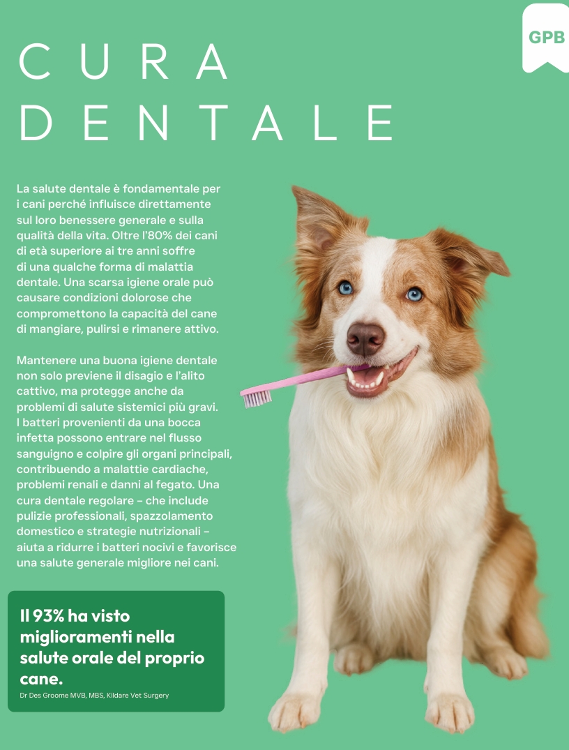 Pluto Vet Cura dentale approfondimento