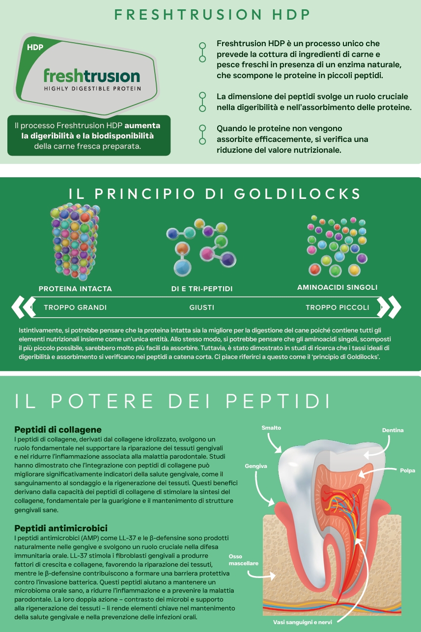 Pluto Vet Cura dentale approfondimento