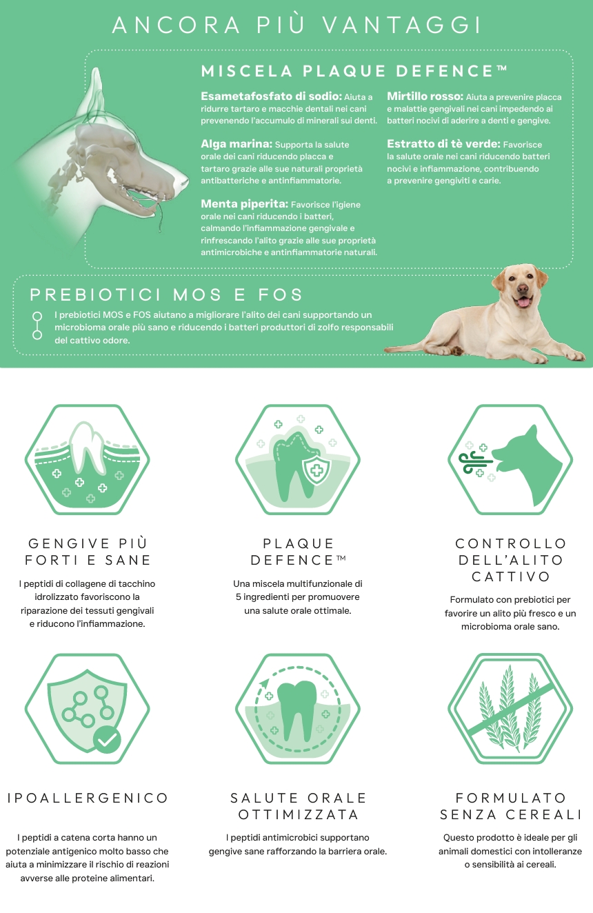 Pluto Vet Cura dentale approfondimento