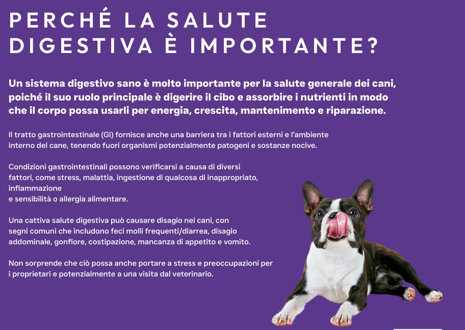 Pluto Vet Cura gastrointestinale approfondimento