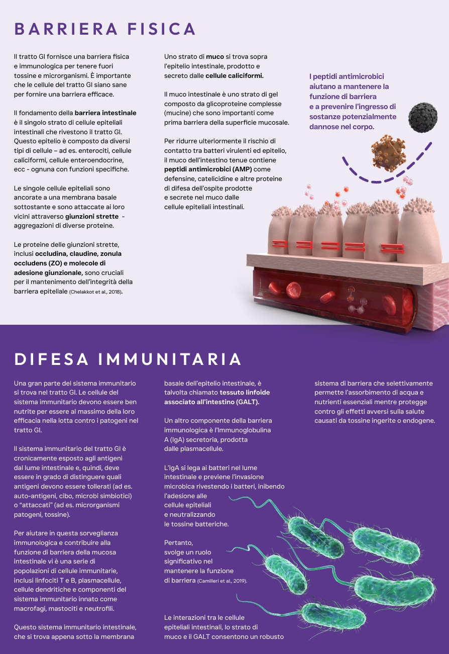 Pluto Vet Cura gastrointestinale approfondimento