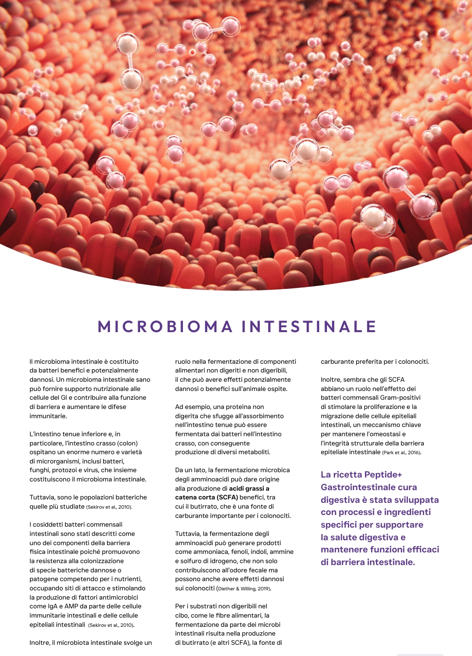 Pluto Vet Cura gastrointestinale approfondimento