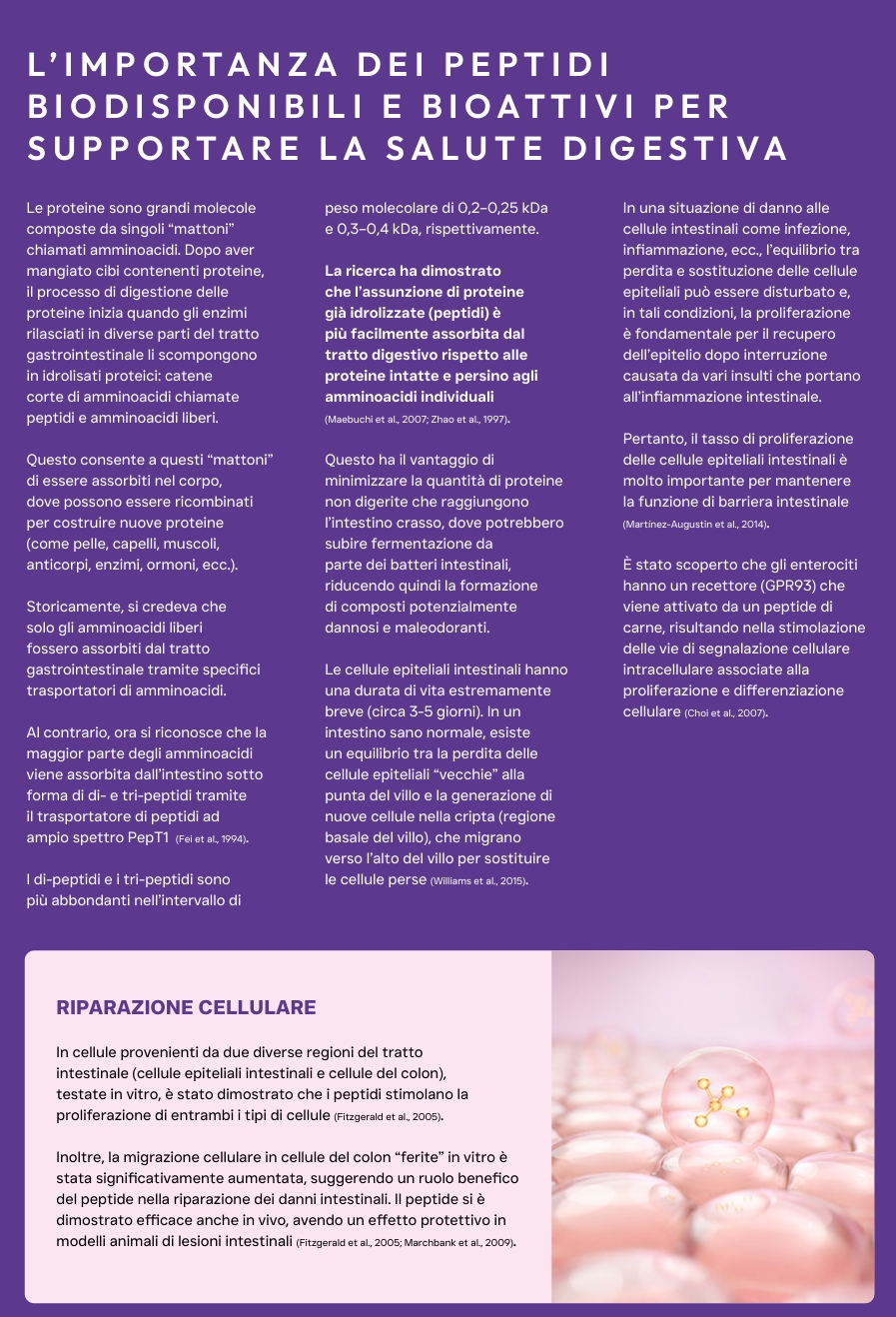 Pluto Vet Cura gastrointestinale approfondimento
