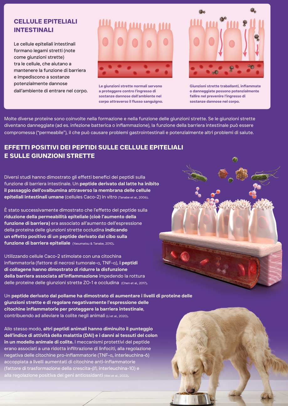 Pluto Vet Cura gastrointestinale approfondimento