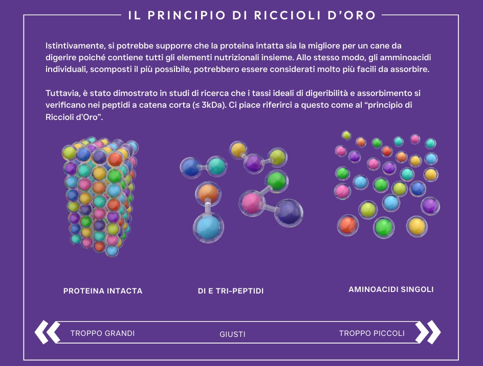 Pluto Vet Cura gastrointestinale approfondimento
