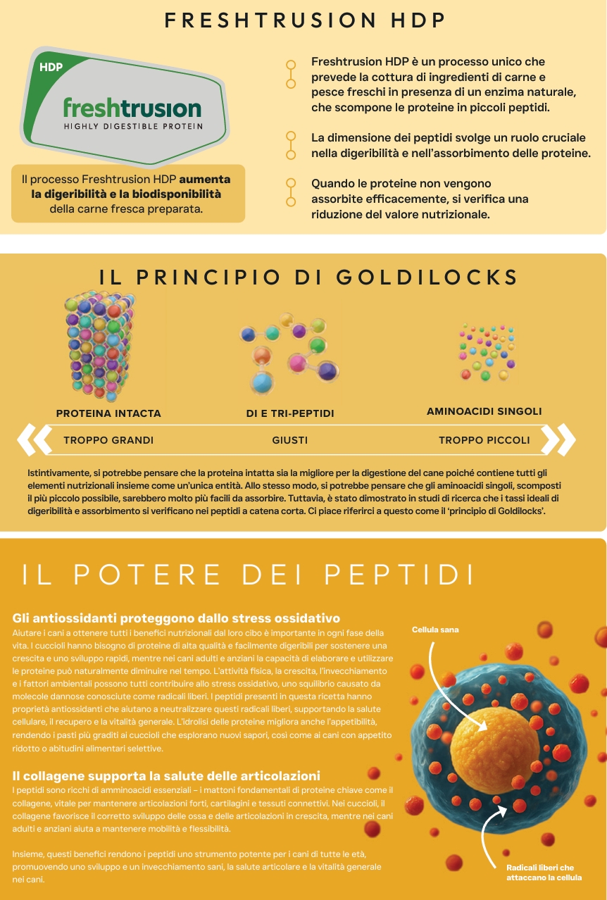 Pluto Vet Ipoallergenico Vita Sana approfondimento
